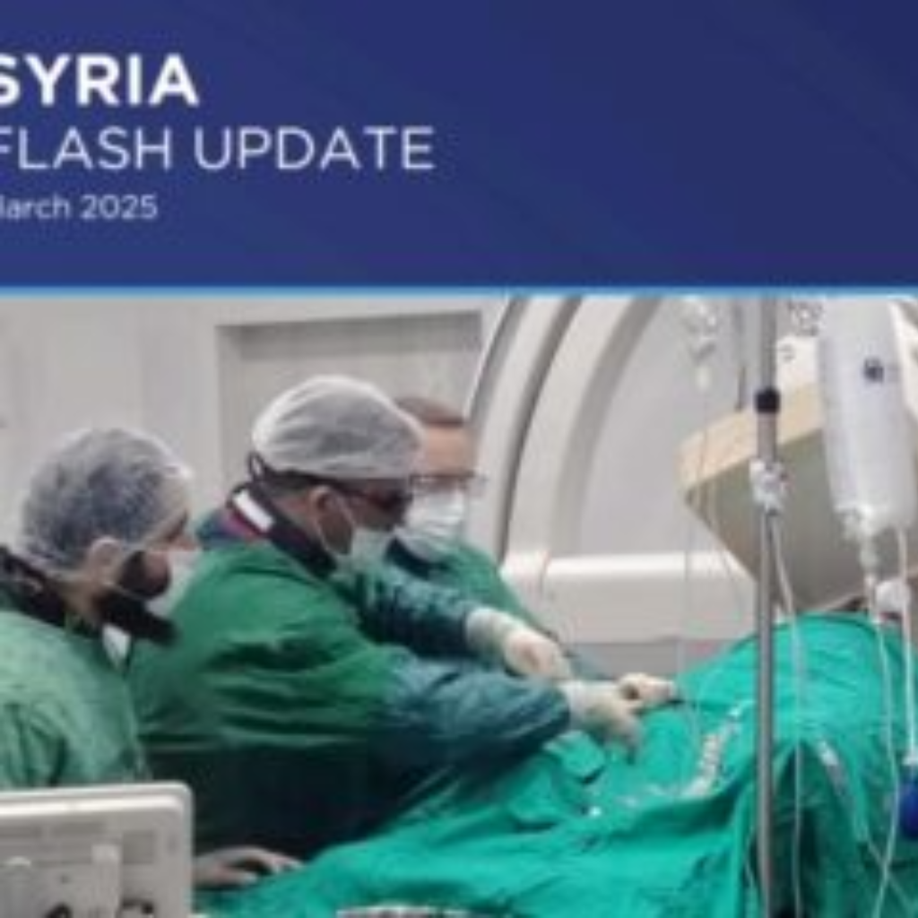 Syria Flash Update – March 2025